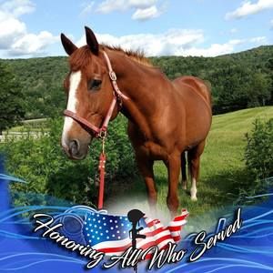 Meet your Posher, Karen